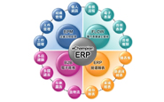 信息化及ERP项目
